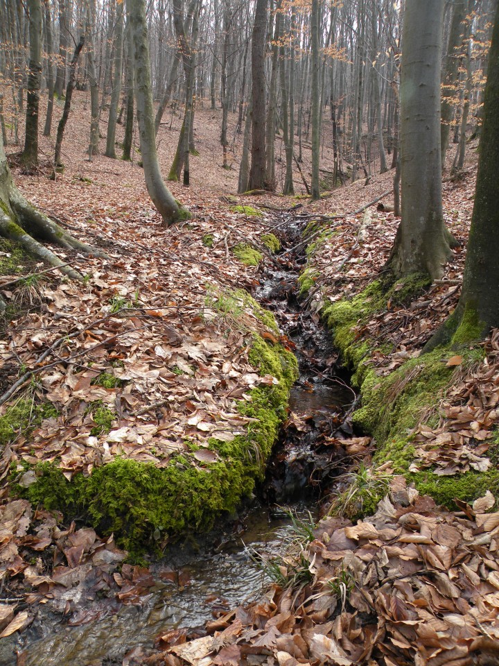 18 NV Ledina , Vetrnik - foto povečava