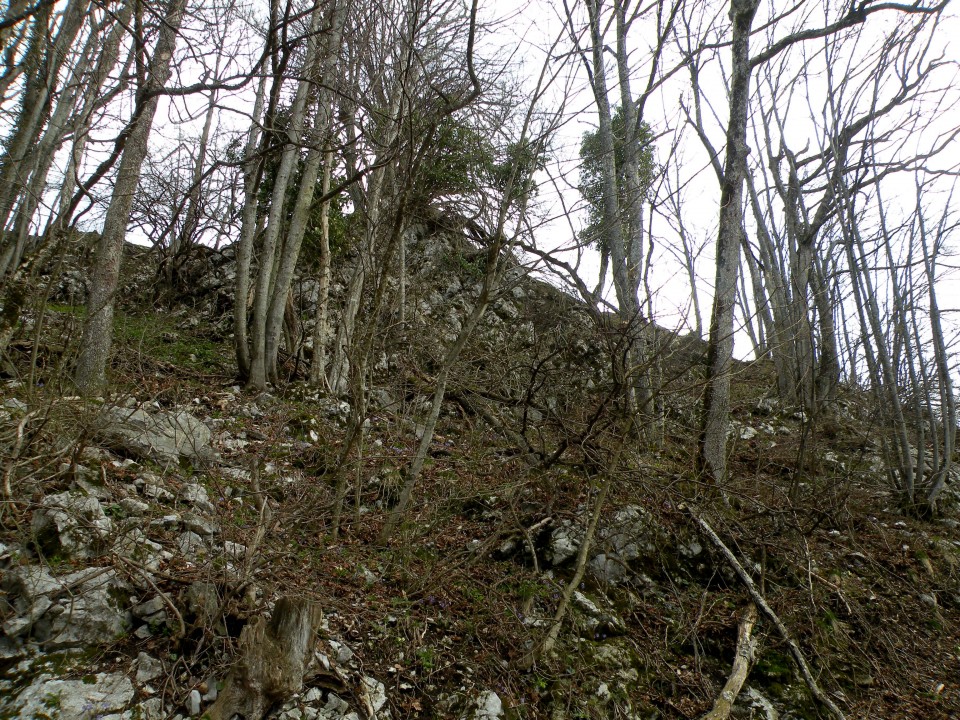 18 NV Nebeška gora - foto povečava