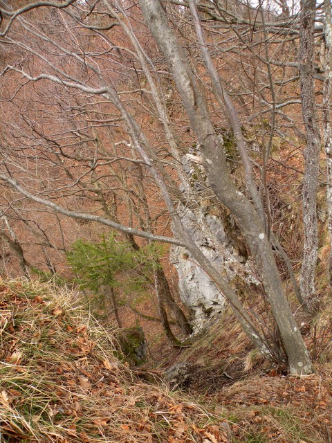 18 NV Nebeška gora - foto