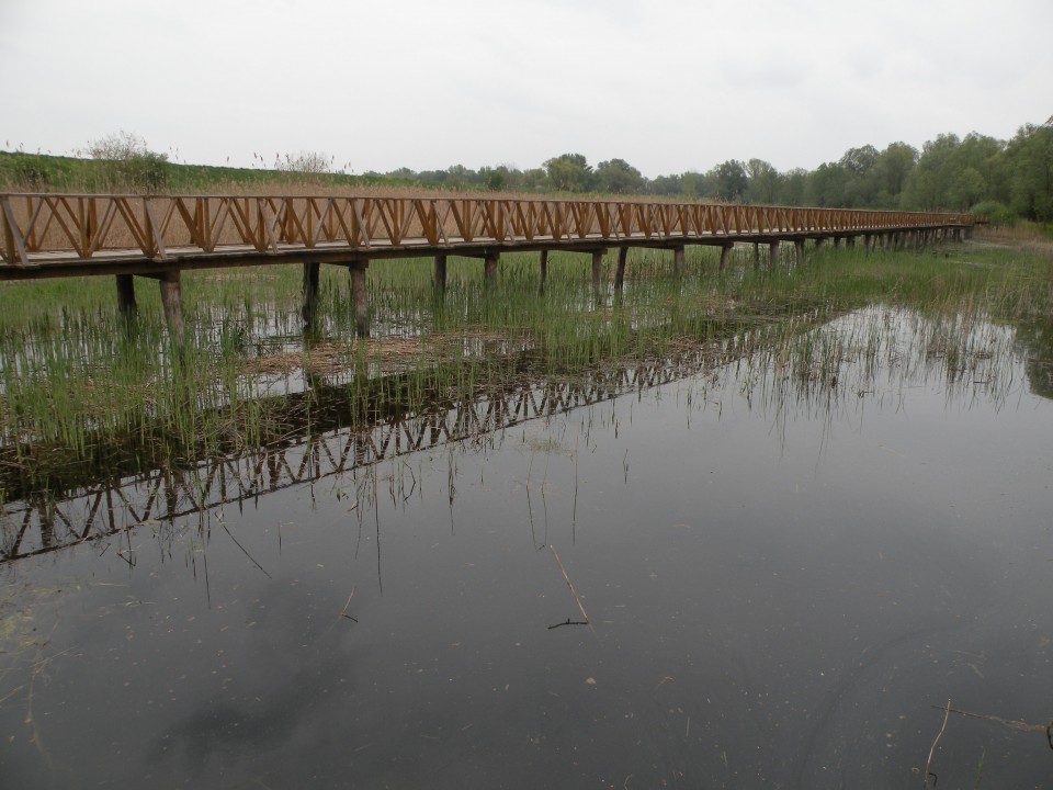 U3 Slavonija Kopački rit - foto povečava