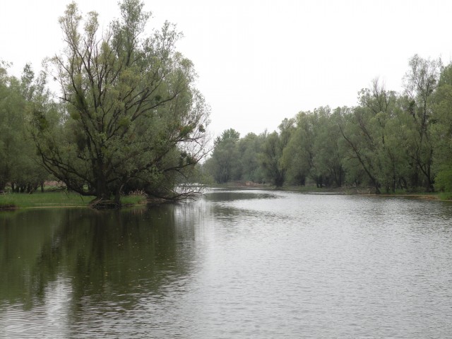 U3 Slavonija Kopački rit - foto