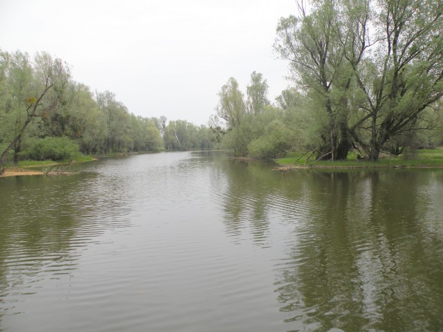 U3 Slavonija Kopački rit - foto