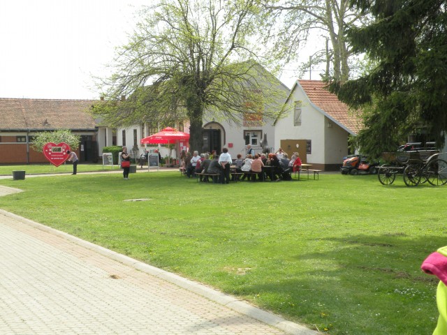 U3 Slavonija Ergela Đakovo - foto