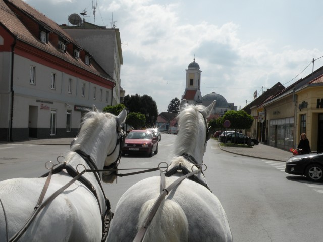 U3 Slavonija Ergela Đakovo - foto