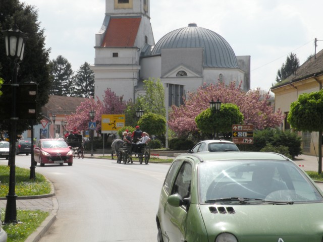 U3 Slavonija Ergela Đakovo - foto