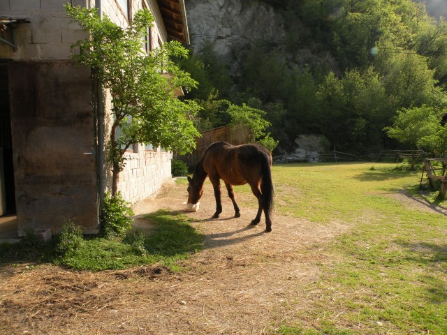 18 NV Zagrad, potok Pihovec - foto