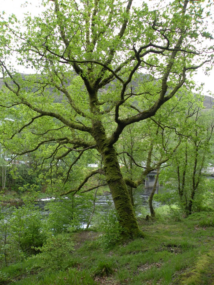 Škotska hostel Kinlochleven - foto povečava