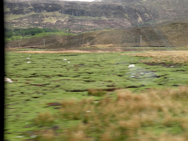 Škotska Skye izlet z ladjico - foto