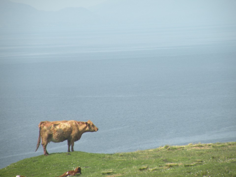 Škotska Kilt Rock in Old Mann of Storr - foto povečava