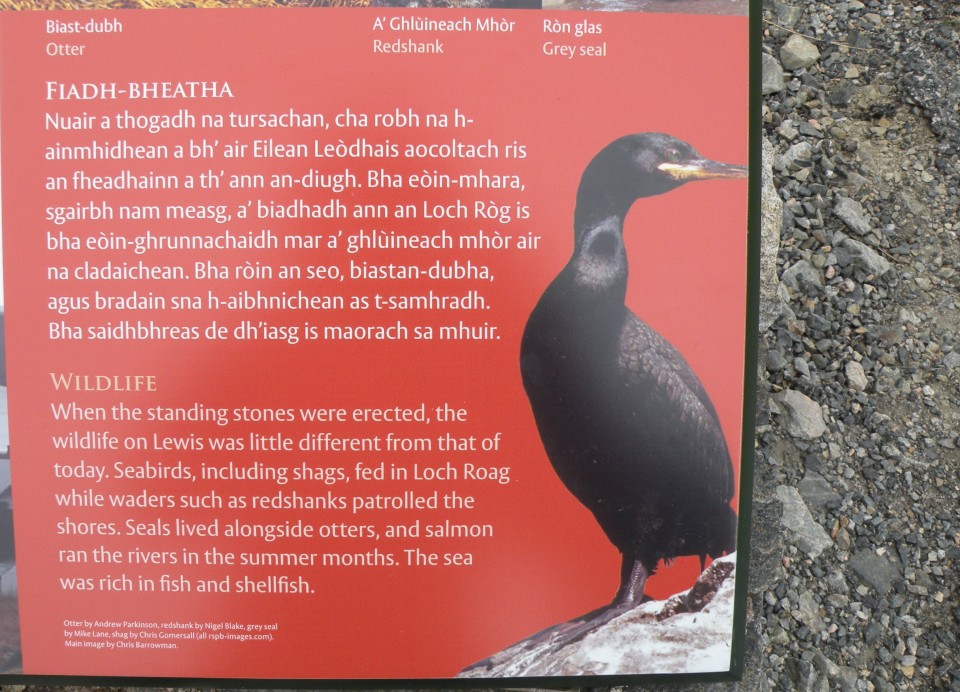 Škotska Calanais st., Carloway Broch, Črne h. - foto povečava