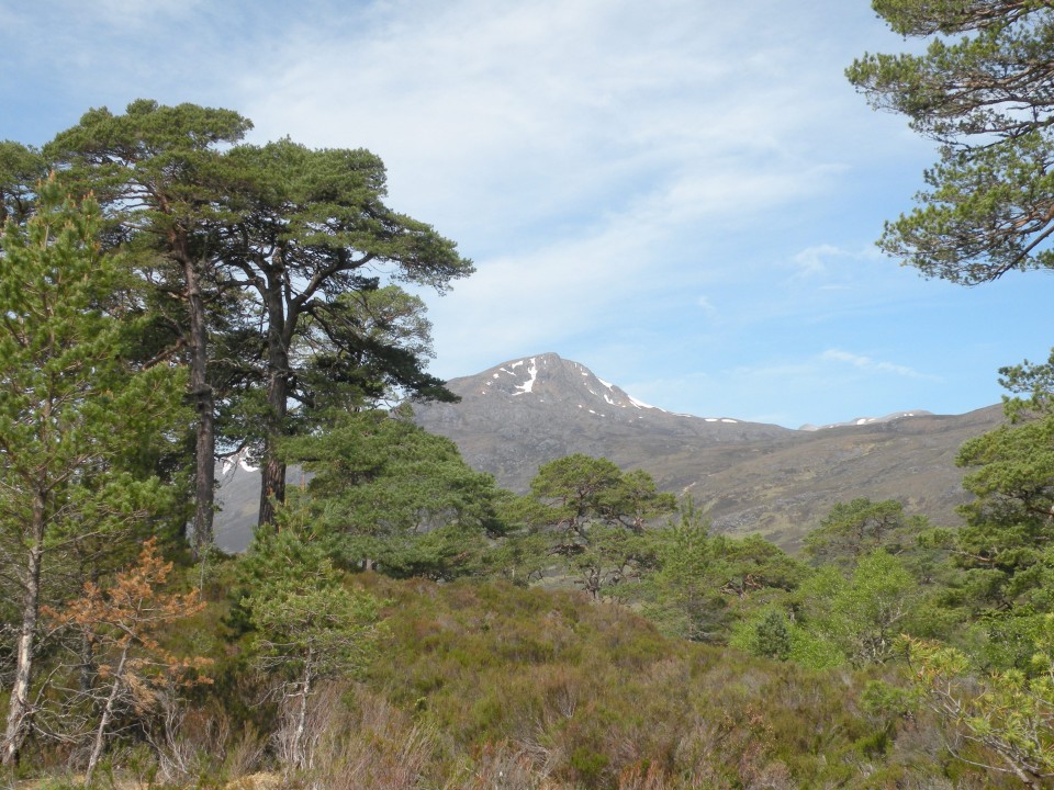 Škotska Urquhart, Loch Afrric - foto povečava