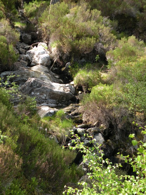 Škotska Urquhart, Loch Afrric - foto