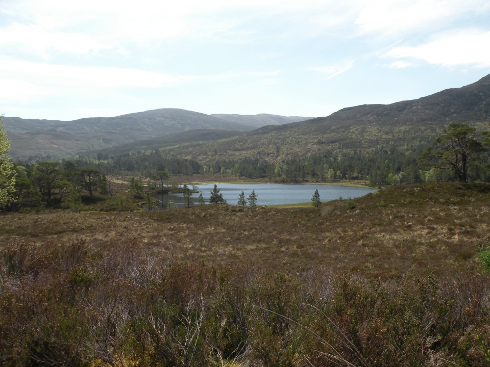 Škotska Urquhart, Loch Afrric - foto povečava