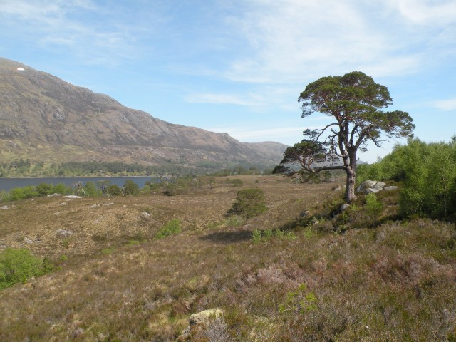 Škotska Urquhart, Loch Afrric - foto
