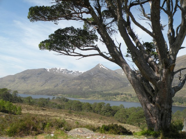 Škotska Urquhart, Loch Afrric - foto