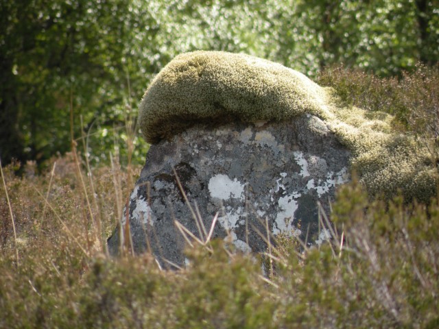 Škotska Urquhart, Loch Afrric - foto