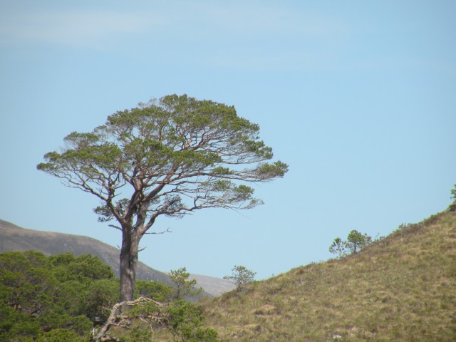 Škotska Urquhart, Loch Afrric - foto