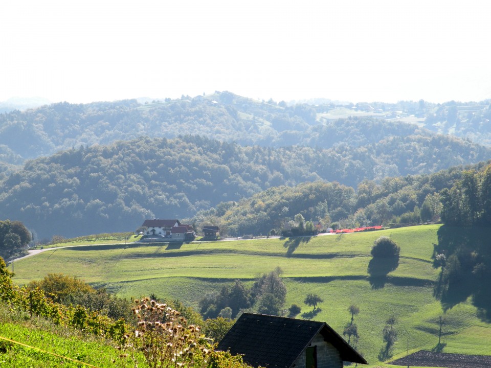 18 Krožek vrednot Lamprče - foto povečava