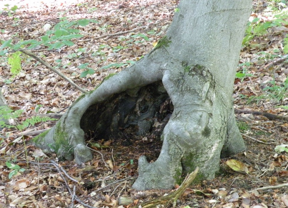 18 Krožek vrednot Lamprče - foto povečava