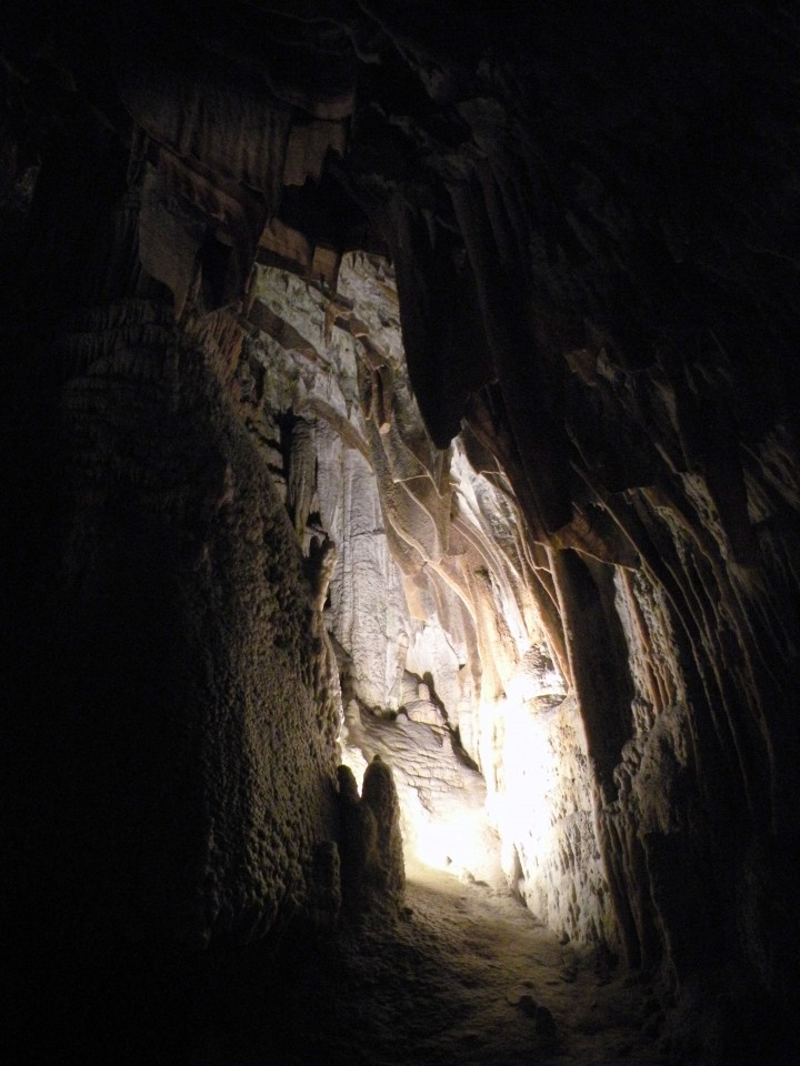 18 Postojnska jama DPM Radeče - foto povečava