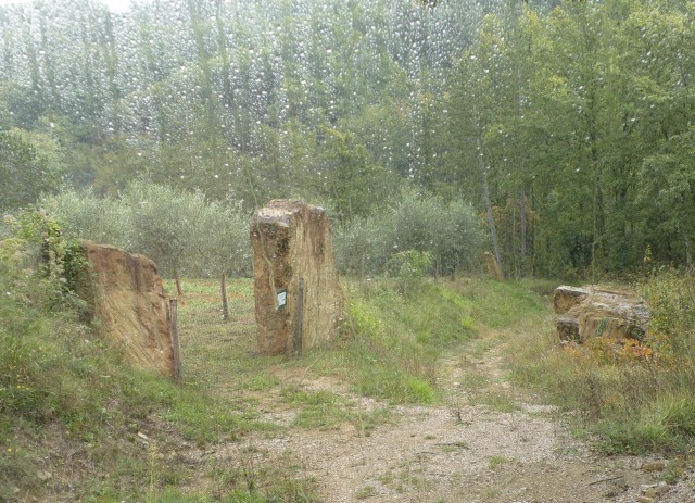 18 hortikultura Zeliščni raj Trsek 14 - foto