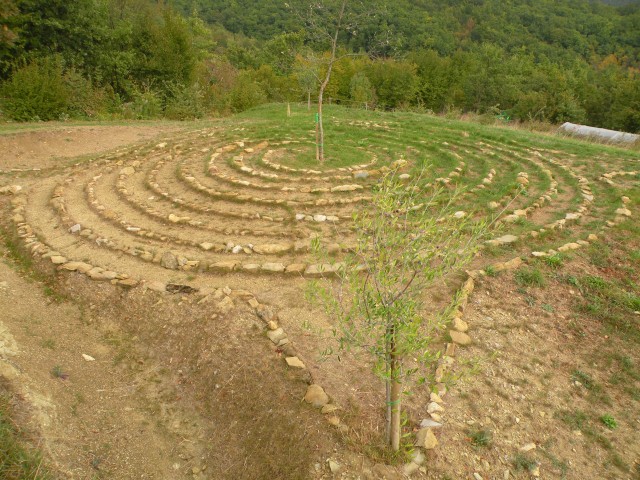 18 hortikultura Zeliščni raj Trsek 14 - foto