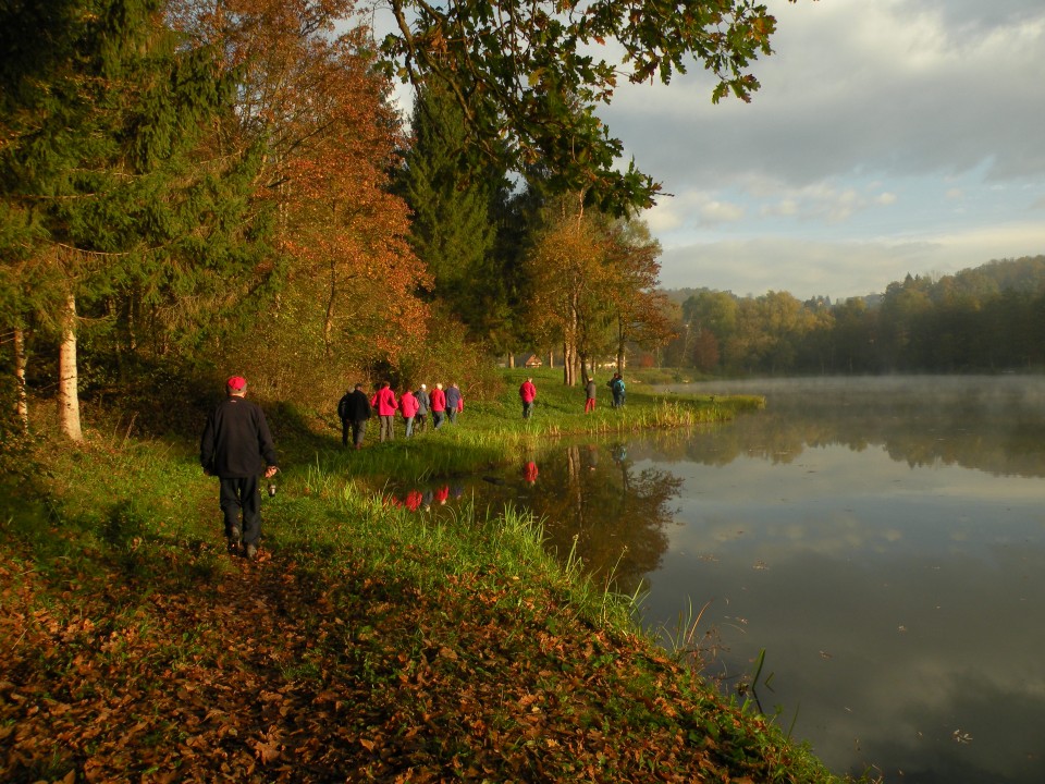 18 Krmelj - foto povečava