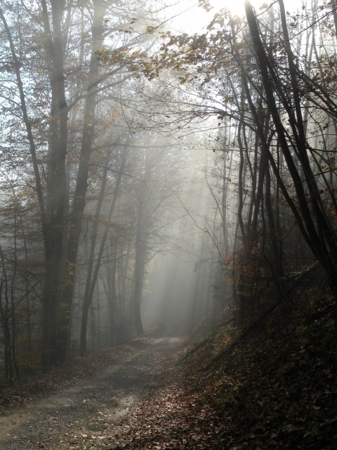 U3 krožek vrednot Brunk - foto