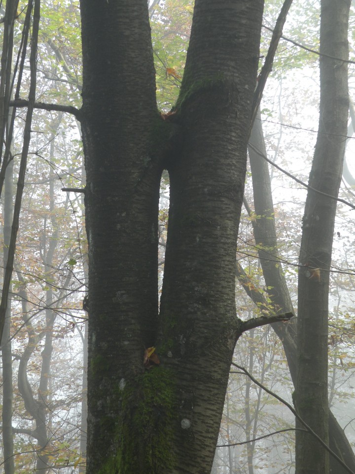 U3 krožek vrednot Brunk - foto povečava