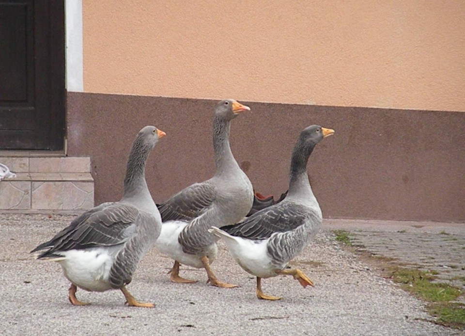 18 U3 krožek vrednot Ključevšek - foto povečava