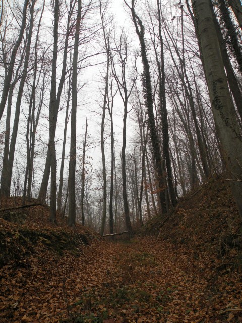 18.12.19. NV Lamprče - foto