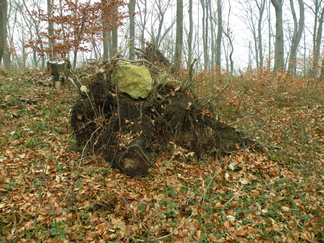 18.12.19. NV Lamprče - foto