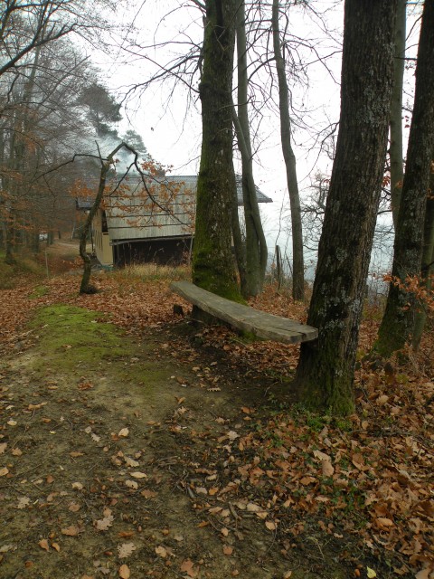 18.12.19. NV Lamprče - foto