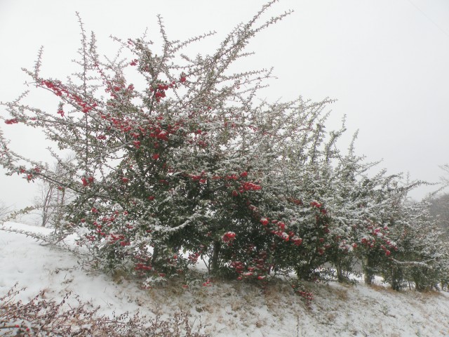 19 k.V. po Florjanski - foto