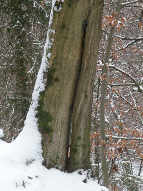 19 k.V. po Florjanski - foto