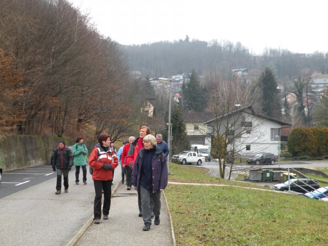 19 krožek vrednot - Kopitarna - foto