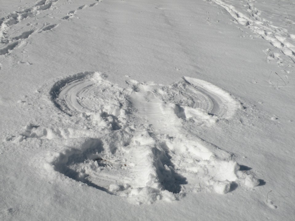 19 Lisca v snegu - foto povečava