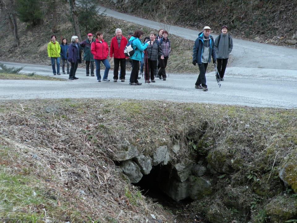 19 Lukovec, Log - foto povečava