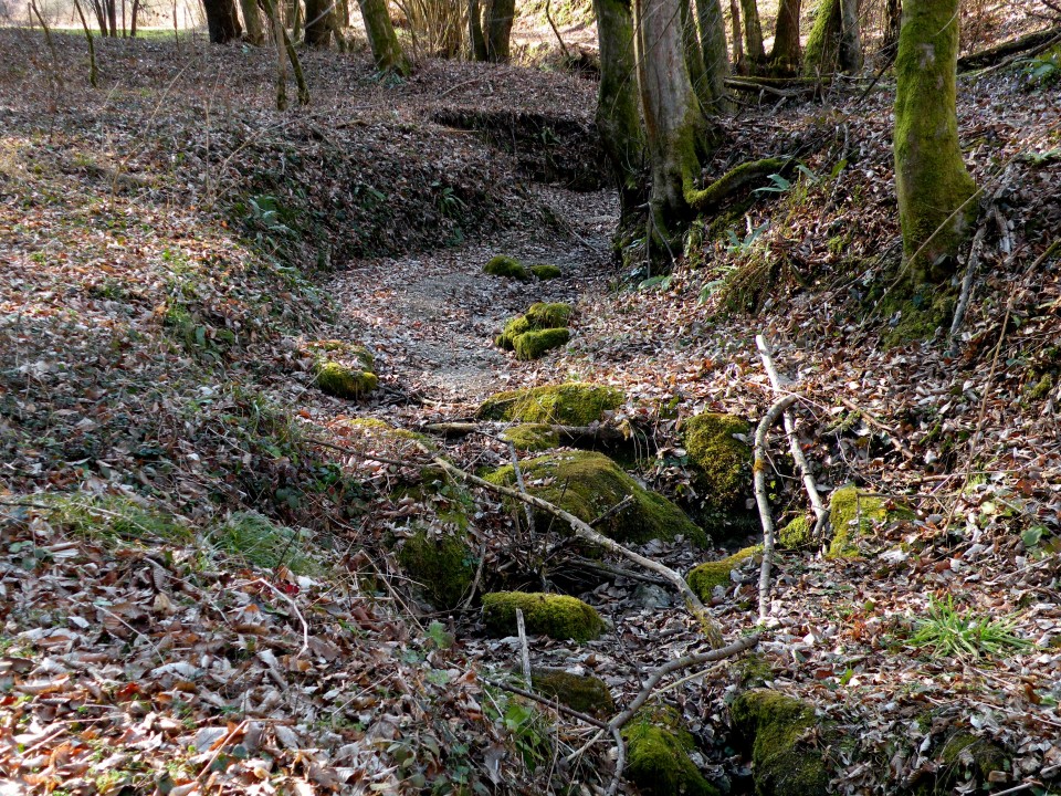 19 Lukovec, Log - foto povečava