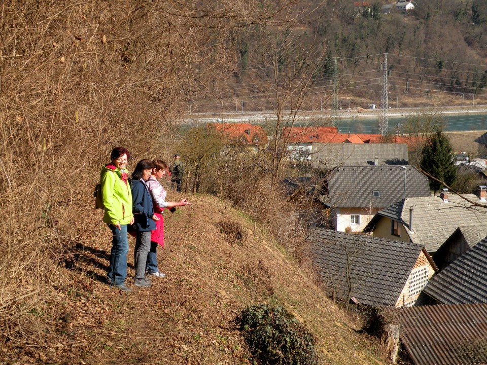 19 Lukovec, Log - foto povečava