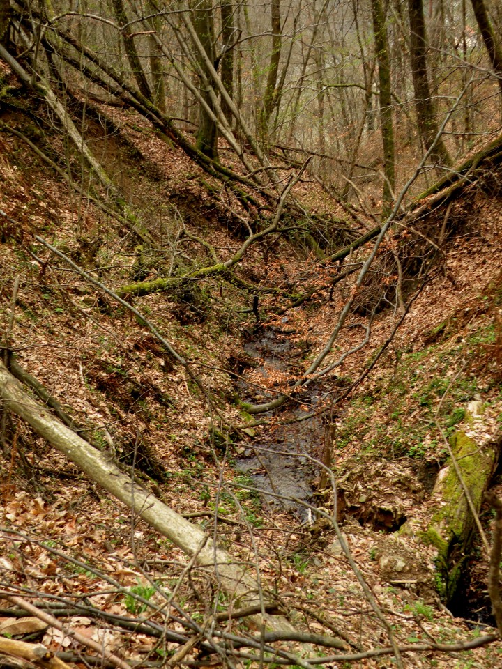 19 krožek vrednot Orehovo - foto povečava