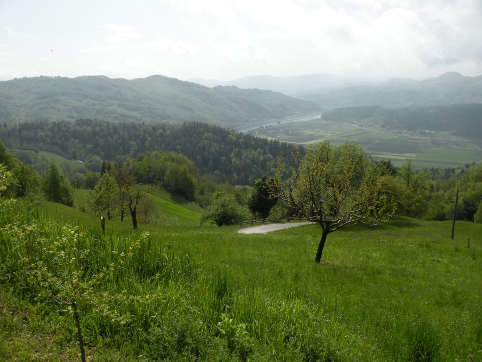 19 Lisca, Lovrenc Razbor - foto povečava