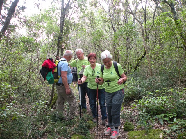 19 PD Sevnica Korčula Hom - foto