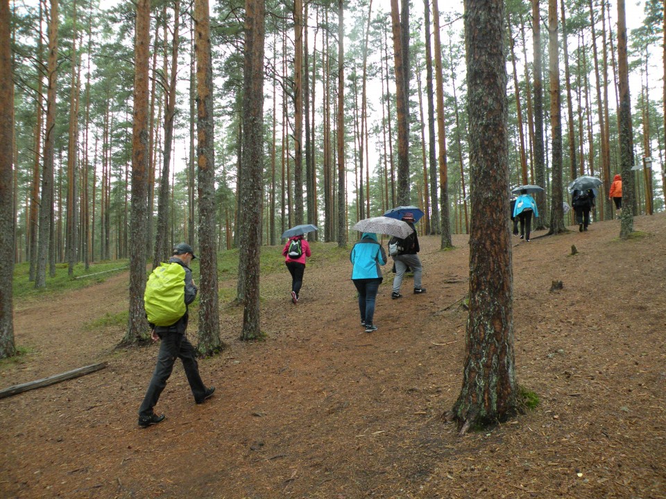 19 Balt.3 NP Lahema Estonija - foto povečava