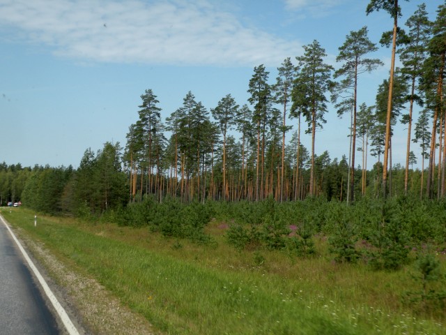 19 Balt.3 Tartu mesto - univerzitetno mesto - foto