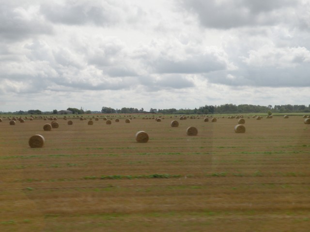 19 balt.3 Hrib križev - foto