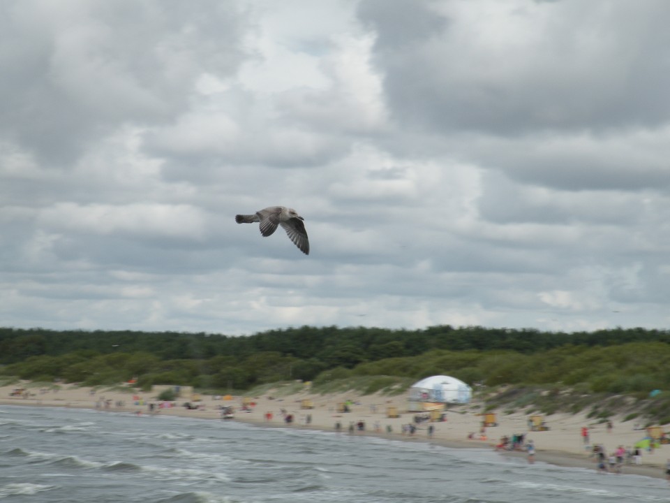 19 Balt.3 Palanga plaža tokrat v vetru - foto povečava