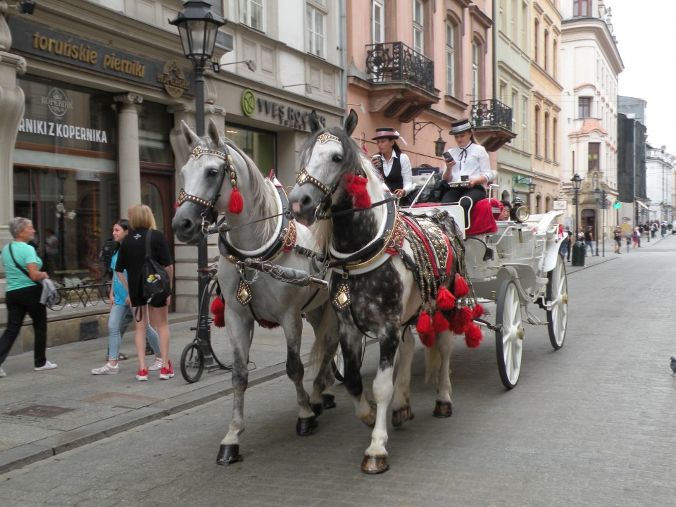 19 Balt.3 Krakov mesto 1.del. - foto povečava