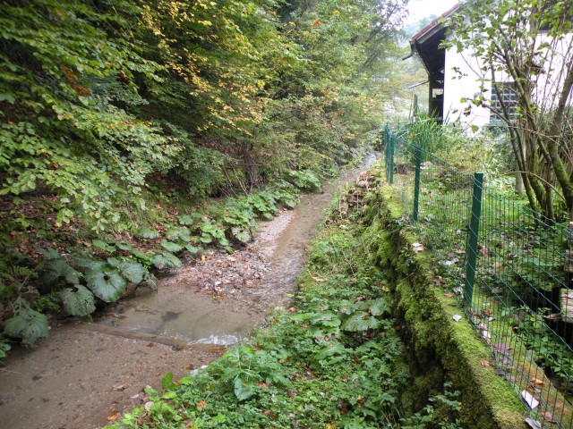 19 k. Vrednot konjšica - foto