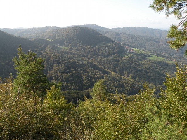 19 k. Vrednot konjšica - foto